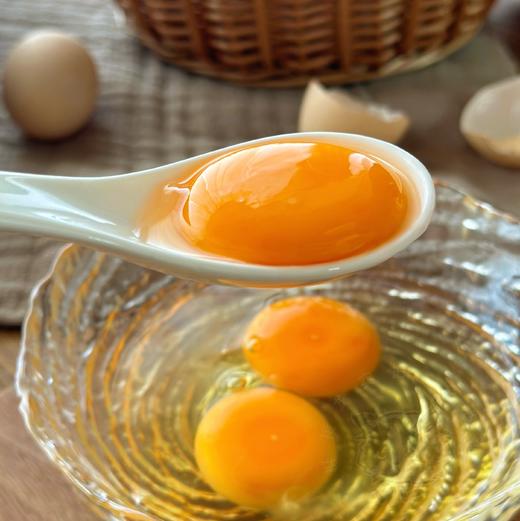 【斌哥优选】九华山散养土鸡蛋。蛋白有弹性，蛋黄软。吃五谷长大，0抗生素，0激素。比普通鸡蛋小一点。冷藏保存。 商品图3