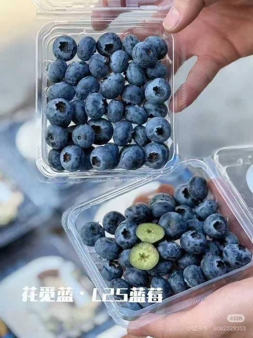 云南花香脆星空蓝莓 脆甜好吃18+ 商品图1