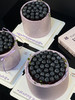 蓝莓森林 商品缩略图5