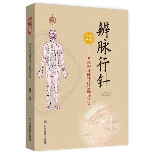 辨脉行针——系统辨证脉针疗法临证实录 商品图0