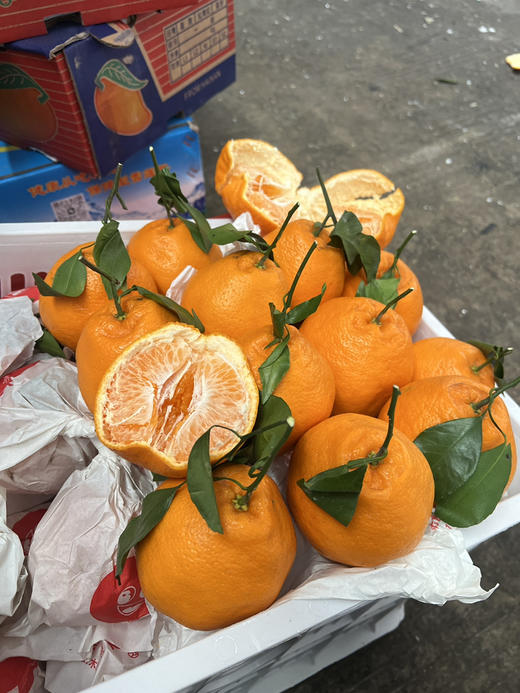 宏丰精选，春见耙耙柑，口感甜，水份多，9.9元2斤 商品图7