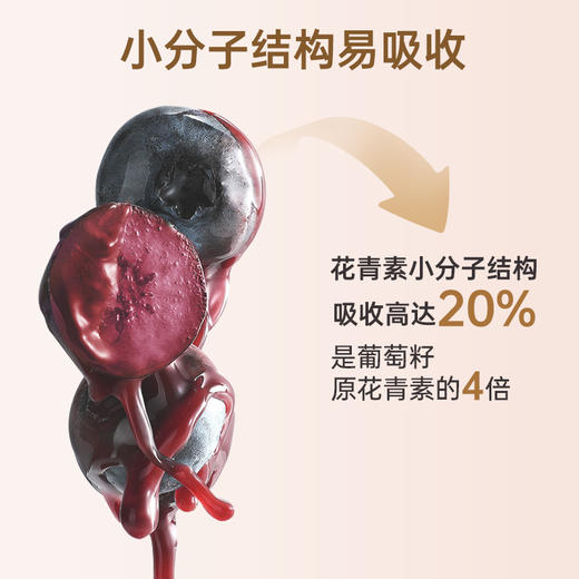 MEDOX花青素胶囊 挪威原装进口 越橘非叶黄素 蓝莓护眼 17中花青素60mg 商品图3