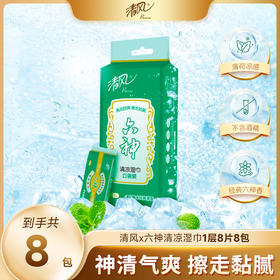 【官方自营】清风超迷你六神湿巾8片*8包口袋装（1提）
