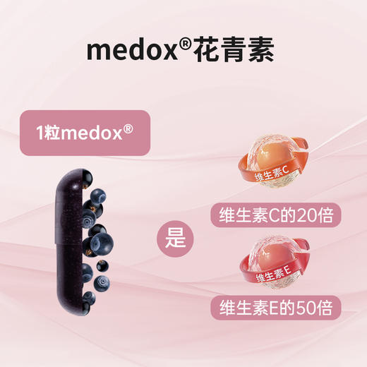 MEDOX花青素胶囊 挪威原装进口 越橘非叶黄素 蓝莓护眼 17中花青素60mg 商品图2