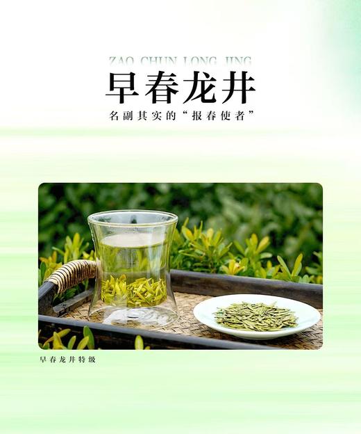 中茶龙冠龙井|2025龙冠龙井，龙井之冠，龙（隆）重上市啦~ 这个春天从一杯龙冠龙井开始 ~ 商品图7