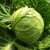 【限量福利】鸿翠园 有机头菜 商品缩略图2
