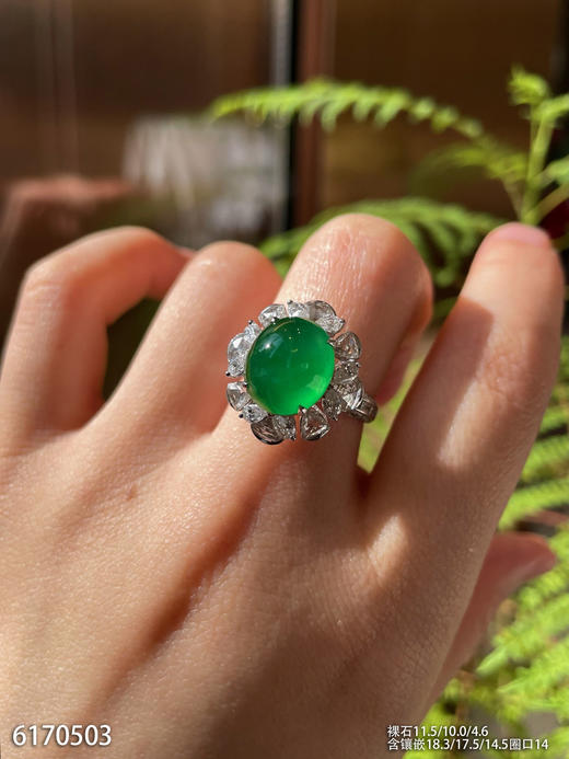 玻璃种浓艳绿蛋面戒指【6170503】具体价格微信咨询 商品图3