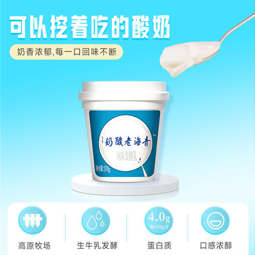 【顺丰包邮】光明&小西牛 青海特色老酸奶益生菌风味发酵乳低温桶装酸奶370g*3桶/6桶 商品图1