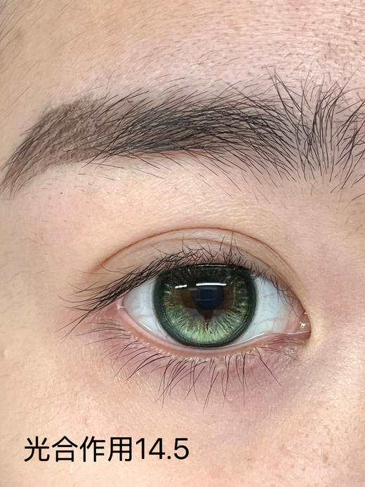 liliyacon 日抛合集 定轴款式 大直径 商品图2