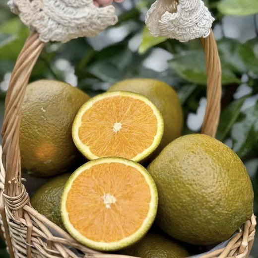 【邮政陆运】| 团购 湖北三峡库区美黑人棕橙，农家自种。毛重10斤，下单后陆续发货。 商品图0