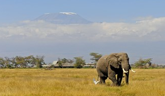 【暑假】<肯尼亚10天亲子游（3-6人小团）>马赛马拉、安博塞利、奈瓦沙湖、肯尼亚山动物孤儿院、长颈鹿公园、大象孤儿院、观肯尼亚马赛马拉小学与当地小朋友互动、