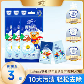【官方自营】清风羽绒服清洁湿巾10片3包wiggle联名免洗去污衣物去渍