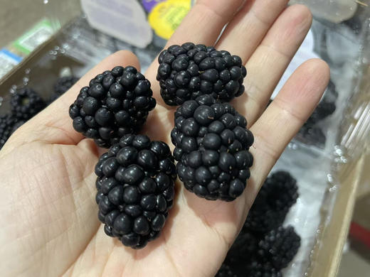 黑莓.花蝶香🦋 树莓一小盒 商品图4