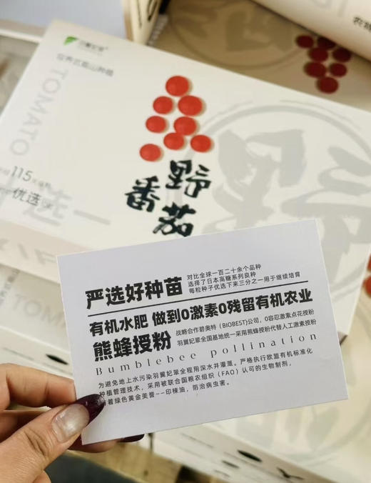 高糖野番茄 商品图6