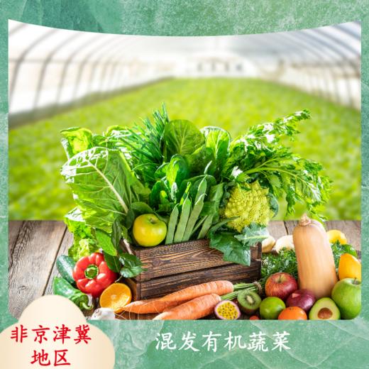 有机蔬菜7斤装（除京津冀地区） 商品图0
