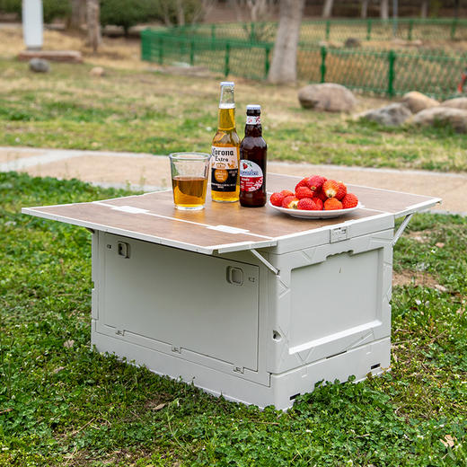 自营（北京董礼）-汉乐美途大号置物箱HL-1208展开尺寸：50*34*30CM   收纳尺寸： 50*34*9CM 商品图1