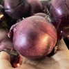 鸿翠园 有机圆葱 洋葱 商品缩略图0