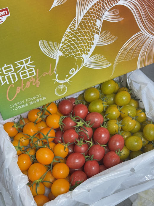 三色番茄礼盒装（毛重2.4斤） 商品图0