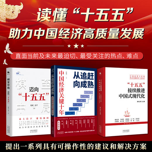 从追赶向成熟：中国经济关键十年；穿越迷雾，看清未来，洞案中国经济大趋势，在不确定中把握确定性 商品图2