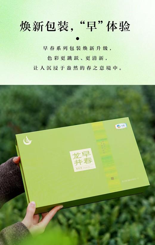 中茶龙冠龙井|2025龙冠龙井，龙井之冠，龙（隆）重上市啦~ 这个春天从一杯龙冠龙井开始 ~ 商品图9