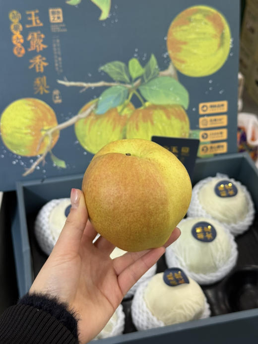 萌果女皇玉露香梨礼盒装（8个装） 商品图1