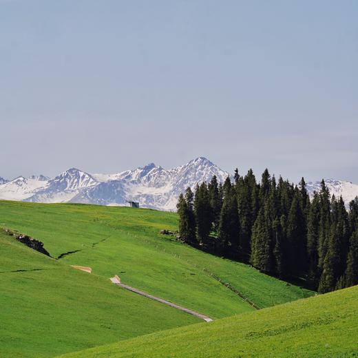 夏季伊犁，徒步天山·徜徉花海 7天6晚 商品图1
