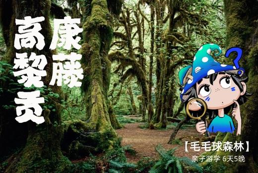 【暑假】康藤高黎贡 | 在毛毛球森林，看盛夏自然博物营 5天4晚 商品图9