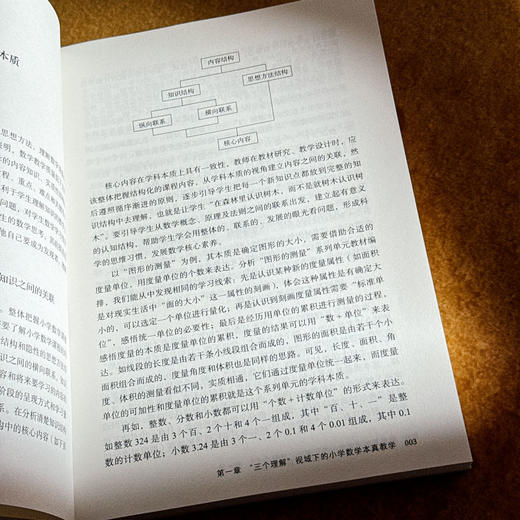 数学何以育人 从课堂深耕到课程创生 大夏书系 数学教学培训用书 特教教师牛献礼 商品图9