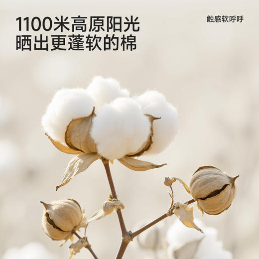 【精梳棉】英氏儿童玩偶婴儿陪伴可爱毛绒玩具亲肤宝宝会唱歌玩偶陪伴公仔 商品图1