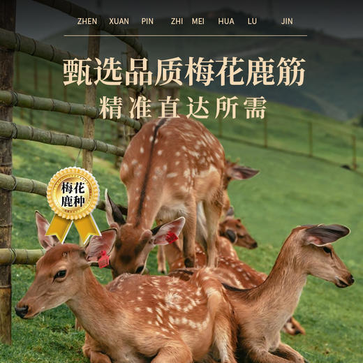承诚成年壮鹿梅花鹿鹿筋丸100g（5g*20粒） 商品图1