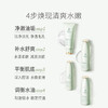 【控油4件套】油痘肌可用 控油补水 收敛毛孔 舒缓泛红 茶树控油水衡4件套(洁面乳+柔肤水+精华露+调肌乳) 商品缩略图2