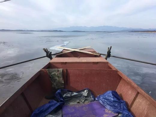 密云水库 || 野生鲫鱼（3斤/份5-8条，大的3-5条），处理干净后约2.5斤，冷鲜发货，味道鲜美，没有泥腥味 商品图8