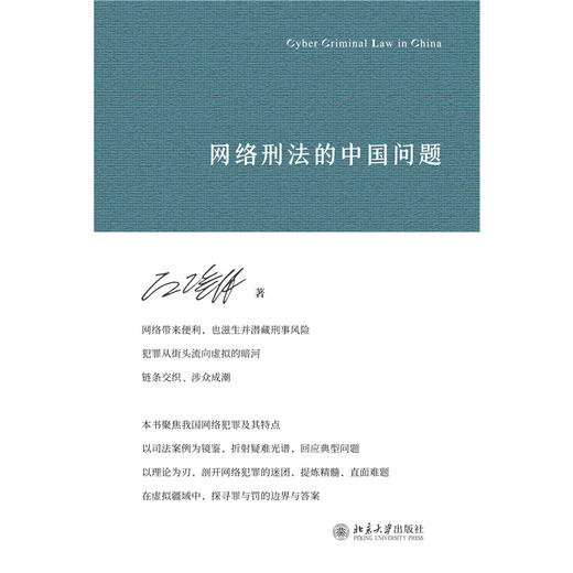 网络刑法的中国问题 商品图2