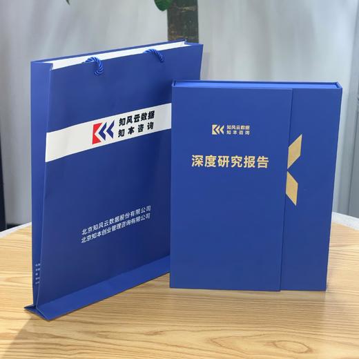 国有企业一人董事（执行董事）履职工作手册 商品图1