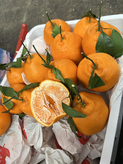 宏丰精选，春见耙耙柑，口感甜，水份多，9.9元2斤 商品图9