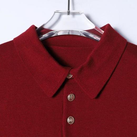 26MY02SDSA男装2026新款高贵轻奢时尚简约翻领针织短袖T恤百搭时尚上衣 商品图2