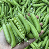 云南带壳甜豌豆 商品缩略图3