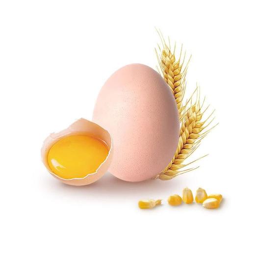 圣迪乐谷物蛋15枚750g 商品图4