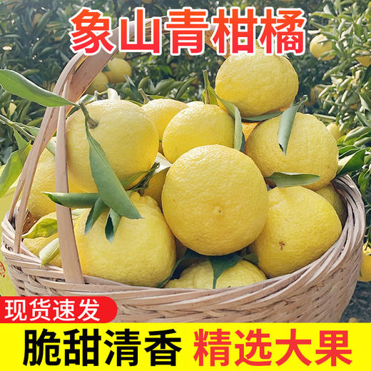 象山青桔柚 商品图3