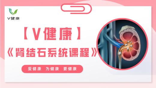 【专栏】肾结石系统课程 商品图0