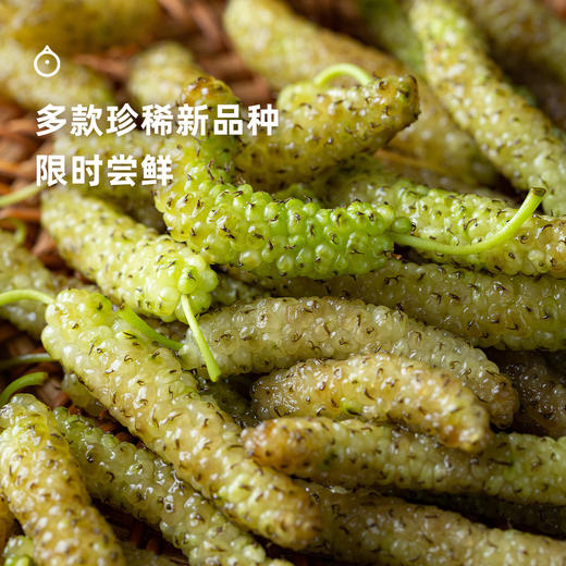 15天内发 企鹅市集|大凉山阳光果桑 四拼蜜桃果桑/紫晶果桑/金香果桑/传统果桑 独家品种桑葚 树上自然熟 甜蜜柔嫩风味十足 商品图10