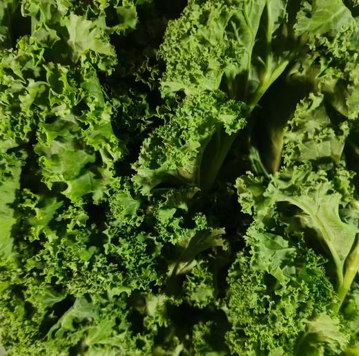 鸿翠园 有机羽衣甘蓝 商品图2