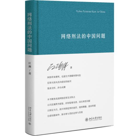 网络刑法的中国问题 商品图1