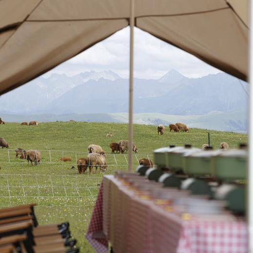 夏季伊犁，徒步天山·徜徉花海 7天6晚 商品图9