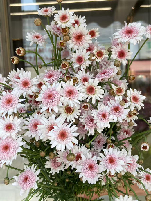 国产花材-【玛格丽特】草莓芯 商品图1