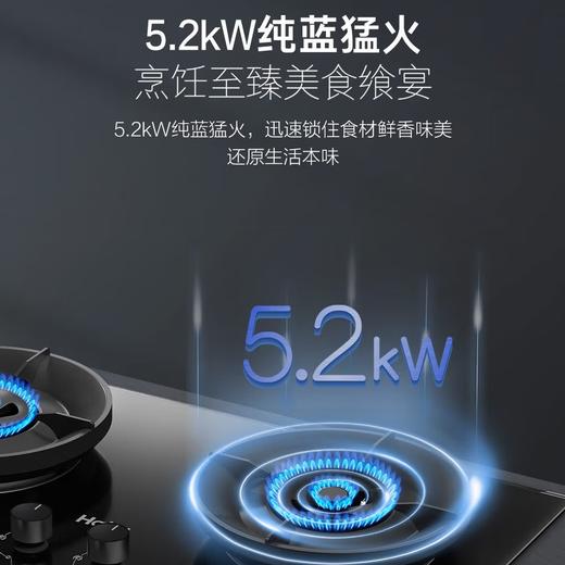 海尔5.2kW爆炒大火力76%高能效燃气灶 JZT-QG91(12T)节能聚能盘搪瓷支架铜火盖可拆易清洁780大台面 天然气 JZT-QG91(12T) 商品图3