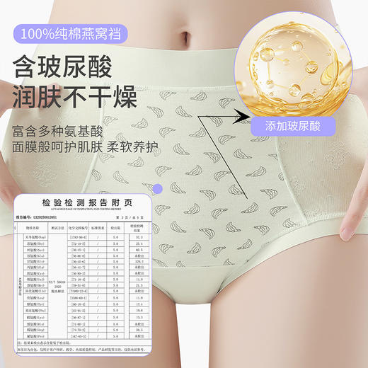 【樱姿娜-高腰】-莫代尔女士轻塑燕窝裤内裤-WL80065 商品图4