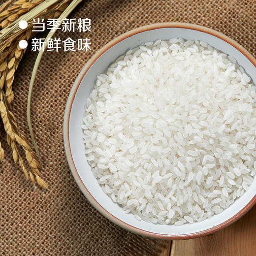 【7天新米·现磨现发】中粮初萃 五优稻4号稻花香大米5kg袋装10斤 黑龙江五常产区直供 商品图3