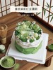 抹茶茉莉红豆蛋糕 | 昔果 商品缩略图1