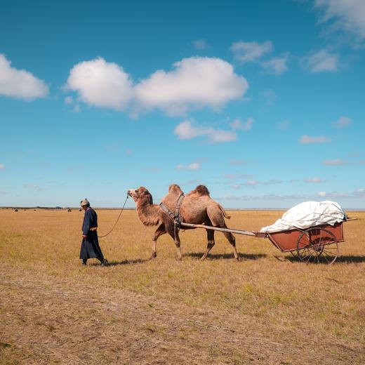 【暑假】外蒙古跨境游学 -呼伦湖与阿尔山间的游牧 7天6晚 商品图5